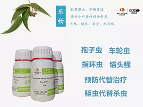 金九银十丨鱼类催肥长膘旺季,如何让冲刺的鱼儿加把劲 确保高产高收