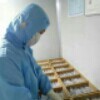 米家纯手工阿胶糕,双十一期间买一盒阿胶糕送一盒牛轧糖!_临沂妈妈圈 - 