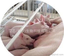 食品添加剂价格 食品添加剂厂家 公司 食品添加剂批发