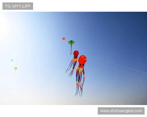 风筝:7000字解析,这场爱情悲剧,隐藏着15个残酷真相 风筝:7000字解析,这场爱情悲剧,隐藏着15个残酷真相