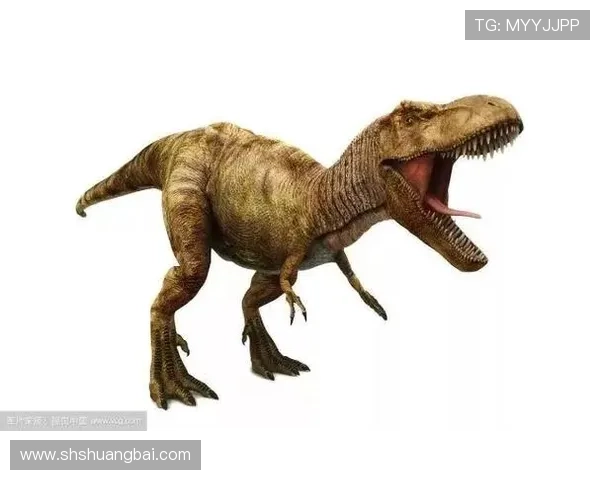 跨越时空追寻生命奥秘揭示宿命真相的传奇剧篇章史诗旅程 跨越时空追寻生命奥秘揭示宿命真相的传奇剧篇章史诗旅程