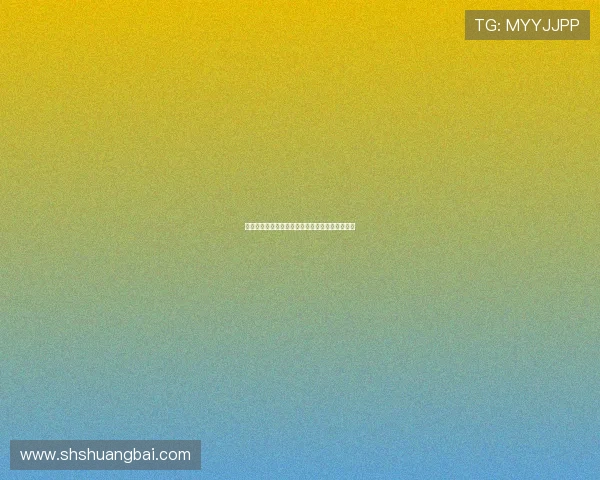 无乐不做：解锁人生无限可能，活出你的闪耀时刻